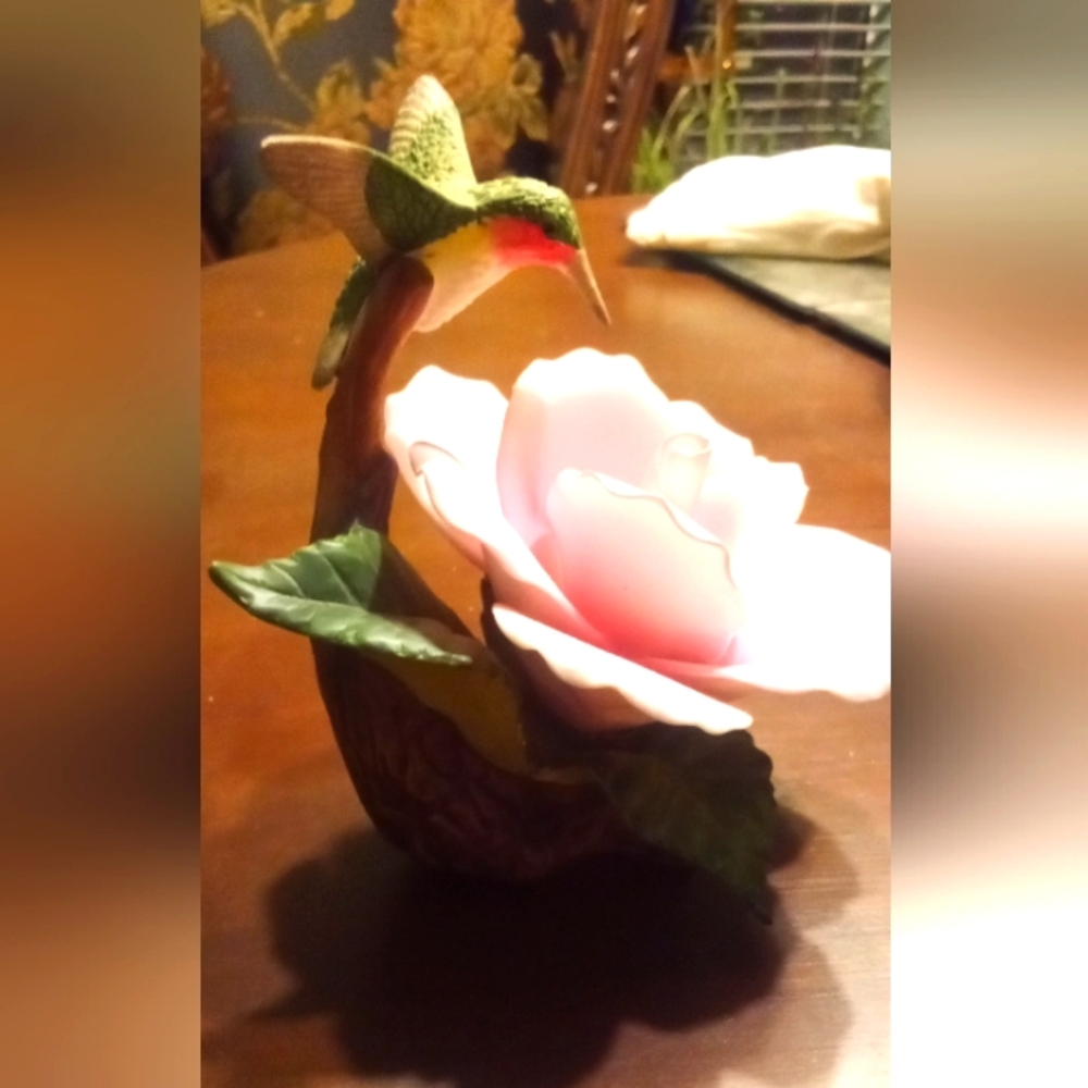Hummingbird rose